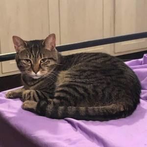 Meet your Posher, Elisabeth